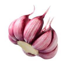 Fresh young garlic isolated on white background