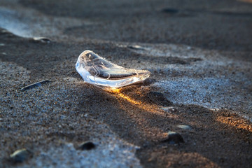 The shining piece of ice on icy sand