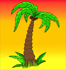 palm tree on the beach
