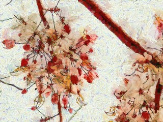Cassia bakeriana flowers resemble white and pink flowers Illustrations creates an impressionist style of painting.