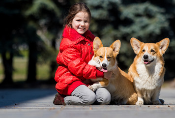 happy girl and corgi dog together