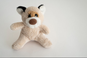 petit ours en peluche