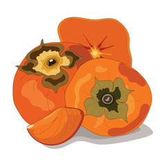 Persimmon whole and slices of persimmons. Vector stock illustration of fruit persimmon isolated on white background for decorative poster, emblem natural product, farmers market and etd.