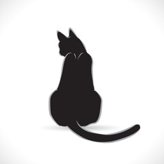 Picture of vector banner cute cat, line art style, Isolated on the White background.