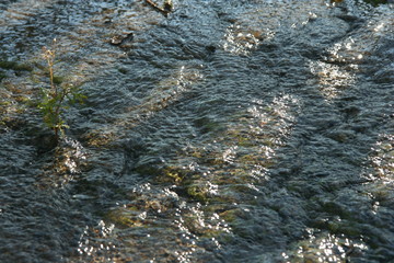 Water on the asphalt after the rain, a large puddle, shadows and Shine