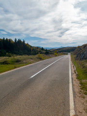 Asphalt road over the mountain covered with low shrubs and coniferous forest.