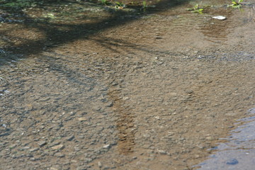 Water on the asphalt after the rain, a large puddle, shadows and Shine