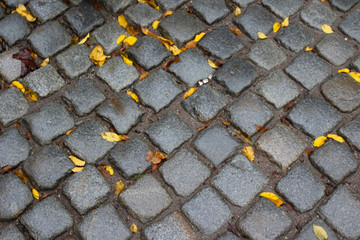 Paving stones in autumn or summer in the city, slightly damp and wet after rain with autumn yellow...