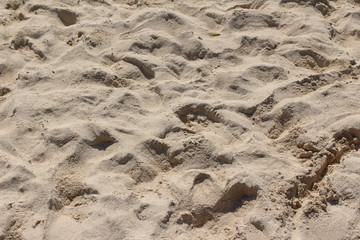 Footprints and footsteps on the clean light sand on the beach. Sandy texture for background or wallpapers.