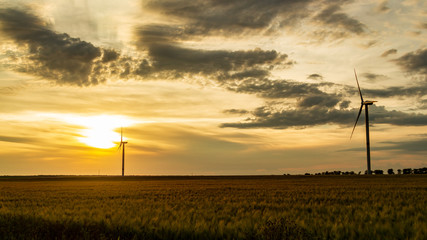 wind generator in grass field at sunset