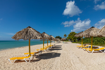 Trinidad, Cuba. Coconut on an exotic beach with palm tree entering the sea on the background of a...