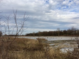 fishermen in a row wading in the river