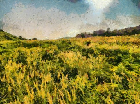Grassland and flower grass Illustrations creates an impressionist style of painting.