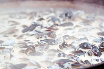 Oysters cooked in a large frying pan at market. Street food. Traditional street festival in europe. Delicious mussels in a white creamy sauce.