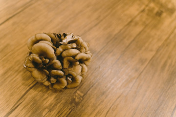 舞茸