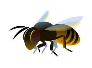 single flying worker honeybee, logo or emblem, symbol of the collective unit, color vector illustration isolated on a white background in cartoon or clip art style