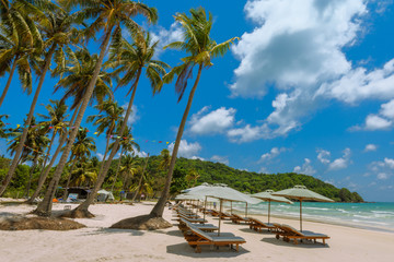 Obraz na płótnie Canvas Bai Sao Beach, turquoise sea in sunlight, Phu Quoc Island, Vietnam.