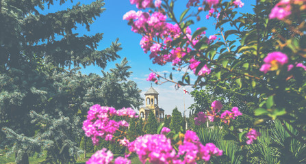 Beautiful garden in the temple complex Cathedral of Georgian Orthodox Church located in Tbilisi, the capital of Georgia.