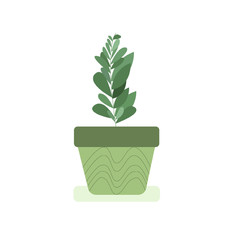 Flat plant. Cute minimalistic plant