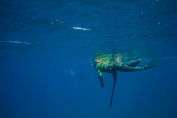 Two spearfishermen floating in the deep blue sea