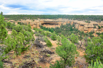 Mesa Verde National Park  - UNESCO World Heritage Site located in Montezuma County, Colorado.