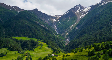 Obraz premium Mountain range. Beautiful view of alpine meadows in the Swiss mountains. Pastures, meadows on the slopes and snow-capped mountains.