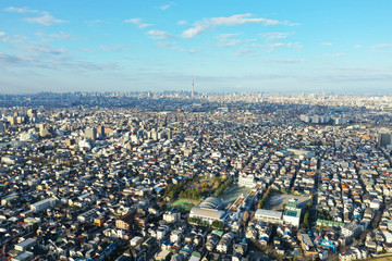 Obraz premium 江戸川上空から見た東京