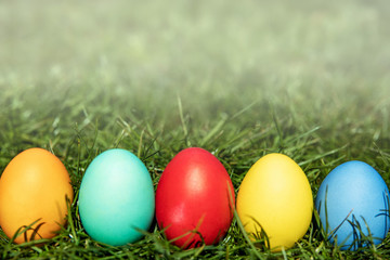 Multi-colored Easter eggs on the grass with a fog effect, the background is blurred, shallow depth of field, selective focus. Easter holiday concept