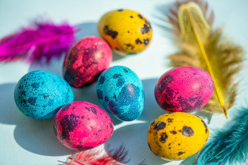 Colorful quail eggs are a symbol of the traditional Church holiday of Easter. 