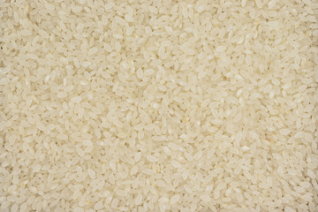 Round rice texture. Dietary product. Top view