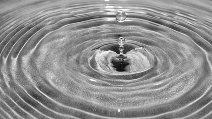 Fototapeta na wymiar Drop of water falling and creating ripples.