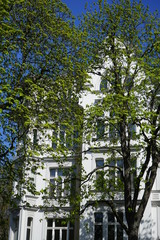 Grün blühende Bäume vor einem Jugendstilhaus in Berlin