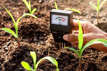 Soil meter is used on loam for planting, Measure soil acidity.