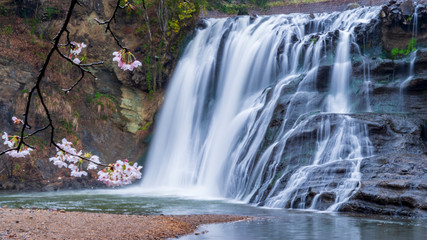 Obraz premium 龍門の滝 春