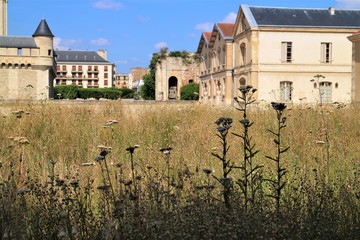 Fototapeta premium Old castle meadow
