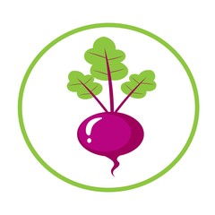 healthy beetroot cartoon illustration, vegan food