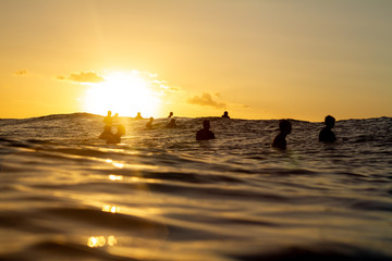Surfers waiting for waves at sunset