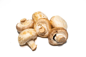 Mushrooms on a white background. Ripe vegetables waiting to be cooked. Space for text