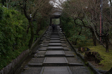 京都東山・雨上がりの朝　高台寺参道