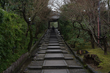 京都東山・雨上がりの朝　高台寺参道
