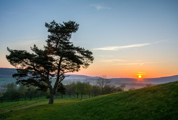 Fototapeta na wymiar Die Burg bei Sonnenaufgang