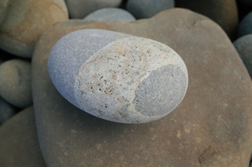 Unique stones found on the beach