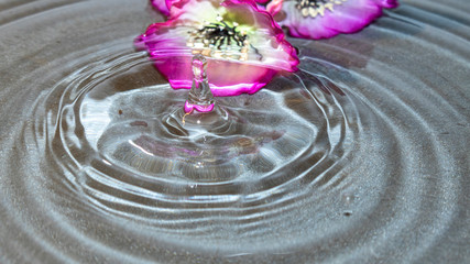 Naklejka na ściany i meble Drop of water falling and creating ripples with a flower at the bottom of the water.