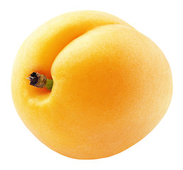 Single apricot or yellow plum isolated on white background. Apricot fruit with clipping path. Full depth of field.