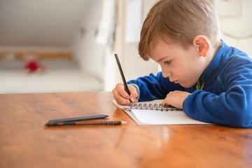 Elementary Boy Learning At Home