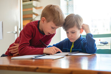 Brothers learning together at home