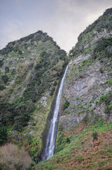 Madeira
