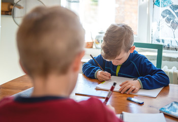 Boys  Learning At Home, Homeschooling
