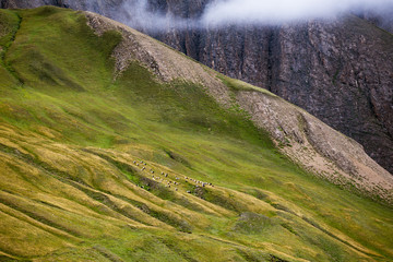 green alpine meadows mountains in switzerland