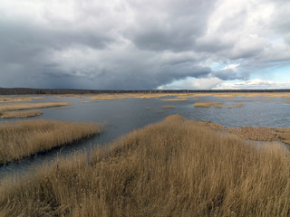 view from tower to bog lake, many reeds